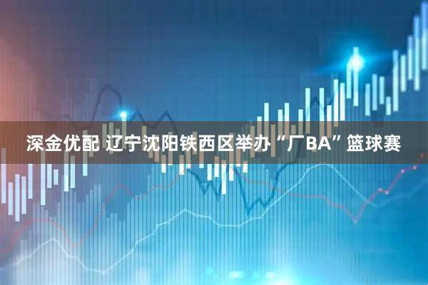 深金优配 辽宁沈阳铁西区举办“厂BA”篮球赛